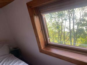Schlafzimmer mit einem Fenster mit Blick auf die Bäume in der Unterkunft The Studio in Beeston