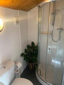 ein Badezimmer mit einer Dusche, einem WC und einer Pflanze in der Unterkunft The Studio in Beeston