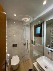 a bathroom with a shower and a toilet and a sink at Giataki in Elati +76 photos