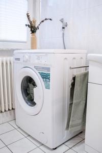 uma máquina de lavar e secar roupa branca na casa de banho em Ferienwohnung in bester Lage 2 em Rust