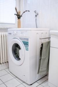 ルストにあるFerienwohnung in bester Lage 2のバスルーム(白い洗濯機、乾燥機付)