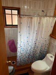 a bathroom with a toilet and a shower curtain at Portal Costanera Caburgua in Caburgua
