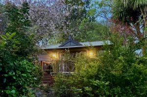 丹德农山Romantic Retreat with Spa and Private Gardens的森林中灯火通明的房子