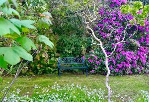Romantic Retreat with Spa and Private Gardens外面的花园