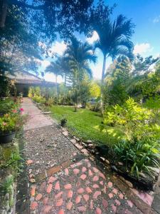 a garden with palm trees and a walkway at Cabañas Marroquin 1 in Copan Ruinas