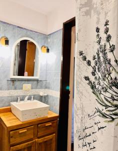 a bathroom with a sink and a mirror at Hospedaje Flores del Sur in El Calafate