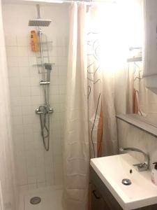 La salle de bains est pourvue d'un rideau de douche et d'un lavabo. dans l'établissement Studio hyper centre de Beauvais, à Beauvais