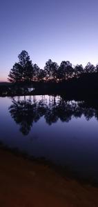 een weerspiegeling van bomen in een meer bij zonsondergang bij Reserva do Lago in Avaré