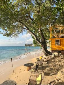 a beach with chairs and a table and a tree at T.Cole’s Holiday Rental in Saint James