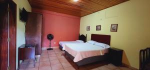 Letto o letti in una camera di Hotel Alsacia
