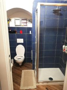 een badkamer met een toilet en een blauwe betegelde muur bij Vale & Ale in Altamura