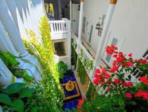 an overhead view of a balcony with flowers and plants at Hotel AT THE PARK in Cartagena de Indias