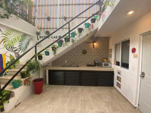 莫雷洛斯港的住宿－LUX Studio ROOM LAS PALMAS PUERTO MORELOS，走廊上设有种植了盆栽植物的楼梯