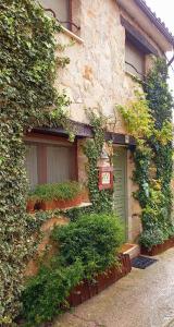 un edificio con una puerta verde y algunos arbustos en La Casita de Pozancos, en Sigüenza
