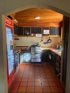 a kitchen with a counter and a stove in it at El Andaluz in San Martín de los Andes