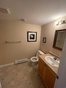 ein Badezimmer mit einem WC, einem Waschbecken und einem Spiegel in der Unterkunft Armdale Urban Lodge, Dine & Stay in Halifax