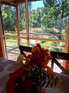 Dique LujánにあるCabaña “Juancho”(Canal Arias,Tigre)のギャラリーの写真 +46枚の写真