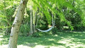 Dique LujánにあるCabaña “Juancho”(Canal Arias,Tigre)のギャラリーの写真