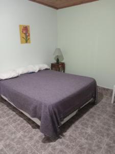 - une chambre avec un lit et une couverture violette dans l'établissement La calera, à Azul