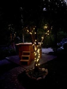 Un árbol con luces en la oscuridad en CASARMONIA, en Peumo
