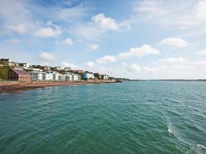 uma vista para uma massa de água com edifícios e casas em The Old Blue Shop em Milford Haven