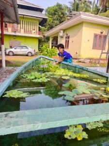 a young boy playing in a pond of water lilies at Kalamana Serene in Chāvakkād