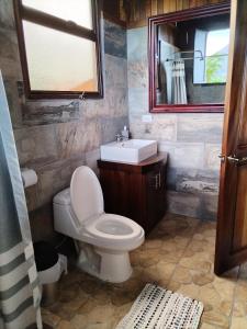 ein Badezimmer mit einem WC, einem Waschbecken und einem Spiegel in der Unterkunft Casa Torre Eco- Lodge in Fortuna