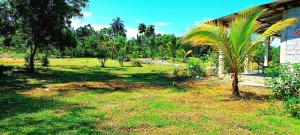 Billede fra billedgalleriet på Laguna DEL Valle i Cotundo