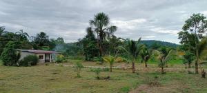 Billede fra billedgalleriet på Laguna DEL Valle i Cotundo