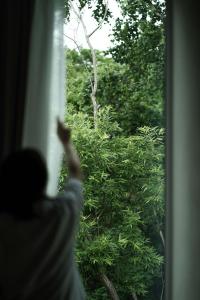 eine Person, die aus einem Fenster auf einen Baum blickt in der Unterkunft The VILLA SHUN in Otaru