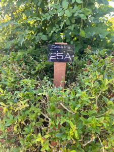 Afbeelding uit fotogalerij van Ferienhaus auf Zeeland Bruinisse in Herkingen
