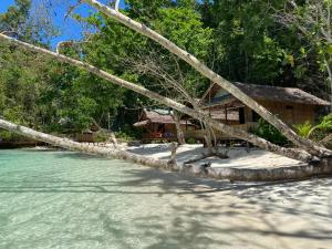 a resort on a beach with trees and water at I&D Home Stay Raja Ampat in Yennanas Besir