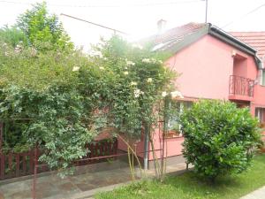 Gallery image of Cazare Vio in Cluj-Napoca