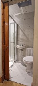 a bathroom with a toilet and a sink at Rainbow Heights Dublin in Dublin