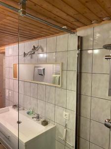 W łazience znajduje się umywalka i prysznic. w obiekcie Haus Katrin w mieście Sankt Marein bei Knittelfeld