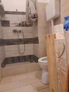 een badkamer met een douche en een toilet bij Hangulatos kis lakás a belvároshoz közel in Szeged
