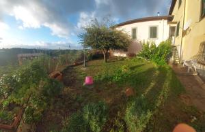 a yard with a house and a pink object in the grass at La mia Marì in Palestrina