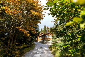 Foto dalla galleria di Fantázia Kulcsosház a Ciumani