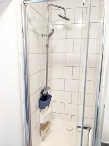 uma casa de banho com chuveiro e WC em Belle chambre lumineuse dans appartement em Évry-les-Châteaux