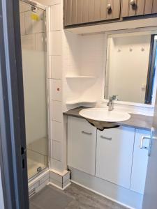 uma casa de banho com um lavatório e um chuveiro em Belle chambre lumineuse dans appartement em Évry-les-Châteaux