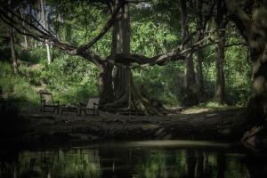 a park bench sitting next to a body of water at River Glamping by Gaga bees in Udawalawe