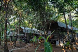 a house in the middle of trees at River Glamping by Gaga bees in Udawalawe