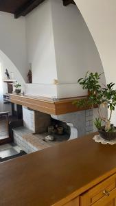 a kitchen with a table with a plant on a counter at Planitis Lighthouse View in Pánormos