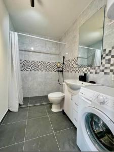 bagno con lavatrice e servizi igienici di BlackMintHouse a Rakovac