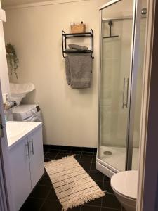 Koupelna v ubytování comfortable apartment outside Kristiansand