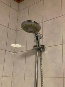a shower with a shower head in a bathroom at Villa Salir - bedroom, kitchen and bathroom 