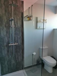 La salle de bains est pourvue d'une douche et de toilettes. dans l'établissement Woodpeckers - Alresford Essex, à Alresford