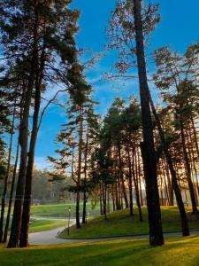 einen Weg durch einen Park mit Bäumen und Gras in der Unterkunft Явір Резорт in Starychi