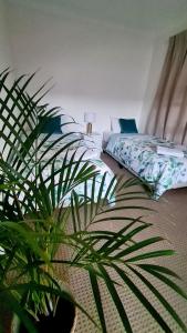 Guesthouse in fantastic location في بريزبين: غرفة نوم مع سرير وزرع الفخار