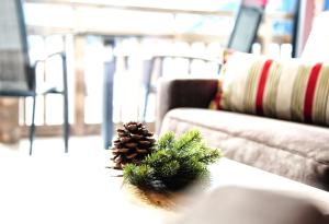 Posedenie v ubytovaní Tschuggmall Appartements